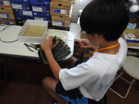 s-DSCN5717