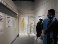 s-DSCN9548