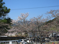 s-IMG_1069