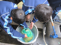 s-IMG_6640