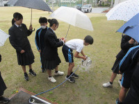 s-IMG_6624