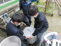 s-IMG_6650