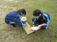 s-IMG_1268