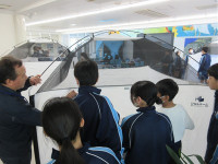 s-IMG_6906