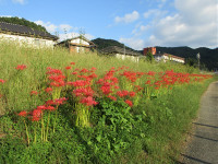 s-IMG_5021