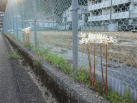 s-IMG_5022