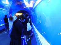 DSCN7482
