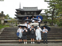 DSCN8280s