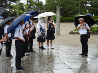 DSCN8282s