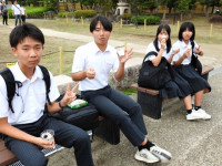 DSCN8401s